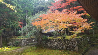 20171111_095935.jpg