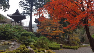 20171111_112549.jpg